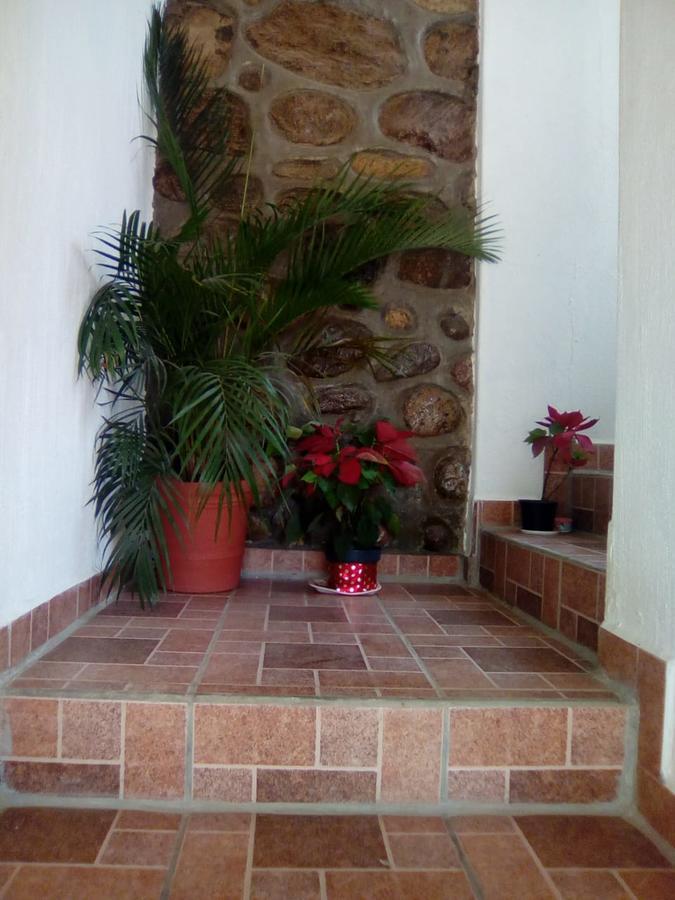 Hotel Quinta Mar Y Selva Chacala  Extérieur photo